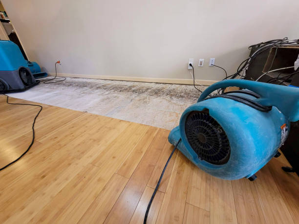 Reliable Sewage Cleanup contractor in Franklin, VA by Hirex Water Damage