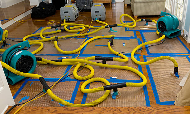 Professional Sewage Cleanup technician working in Franklin, VA